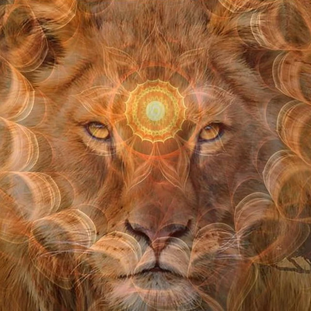 Portal de León webp